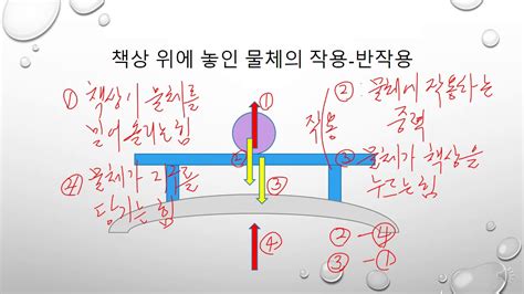 작용 반작용 의 법칙 -